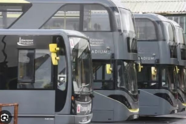 New bus launched with direct link to Blackpool Zoo and attractions