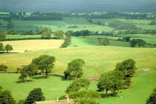Quick-thinking farmer foils quad bikes theft as young man arrested