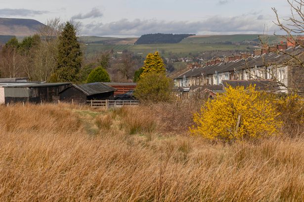 Controversial ‘multi-faith’ Nelson cemetery set to get green light