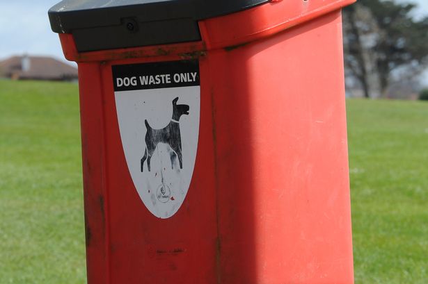 ‘Invaluable’ tip-offs from Burnley residents catch out fly-tippers and careless dog owners