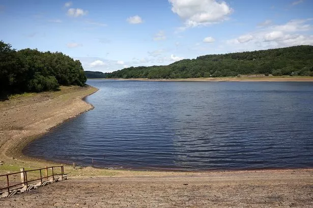 They had no idea she was living a secret life online where she fell prey to men