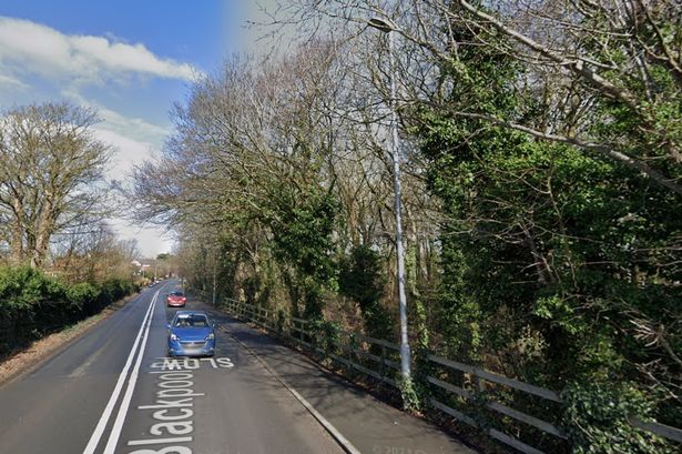 Appeal after attempted robbery of elderly man in woodland