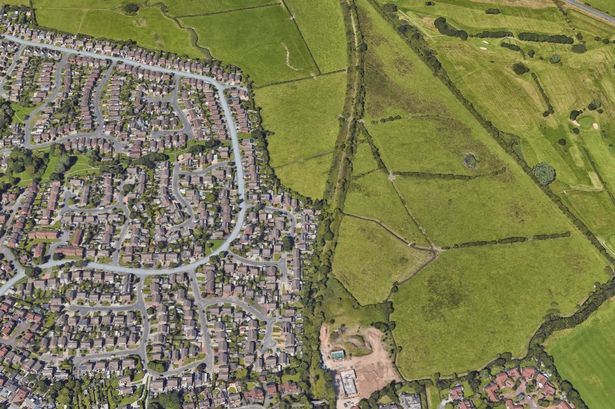 Calf dies ‘following a stampede’ after youths set off fireworks next to field