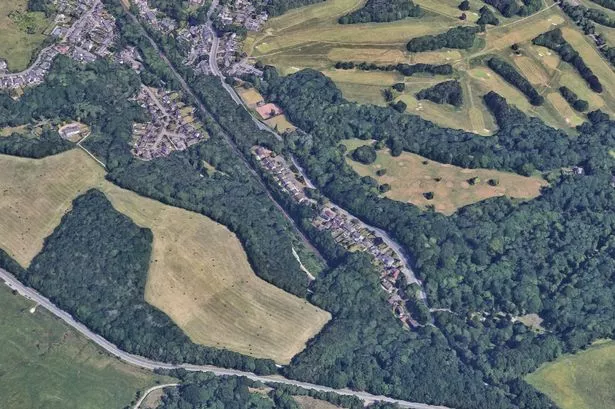 BMW driver rushed to hospital with serious injuries after crashing into tree