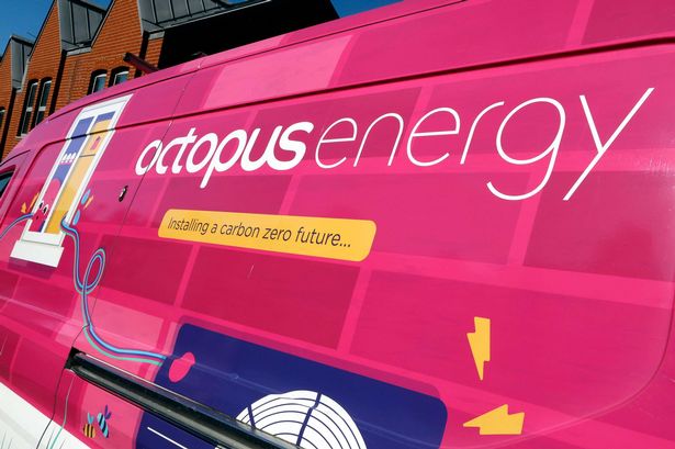 Octopus Energy advert banned for ‘misleading’ consumers