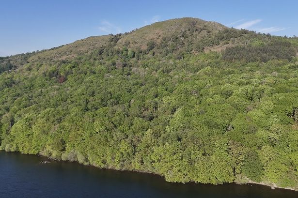 ‘Once in a lifetime opportunity’ to buy £1.2 million Lake District woodland
