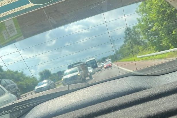 Kids’ minibus driver seen filming M6 horror crash scene