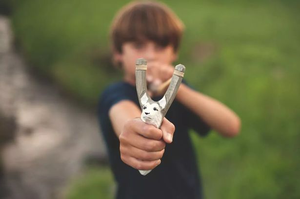 Young child hit in the face by youths ‘firing metal BBs from slingshot’