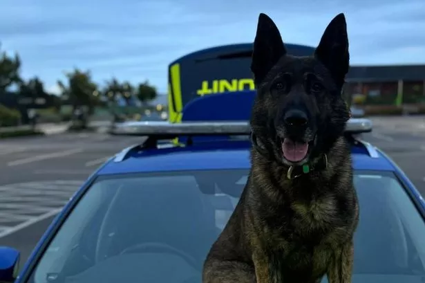 Latest update after police dog suffers injury in Preston tractor crash