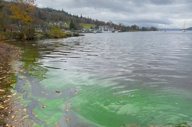 Doubts raised about Windermere pollution clean-up statistics