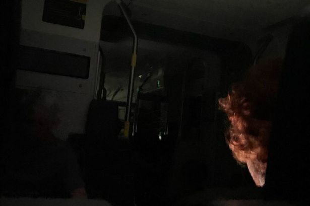 Passengers stuck for two hours in darkness as train loses power in tunnel