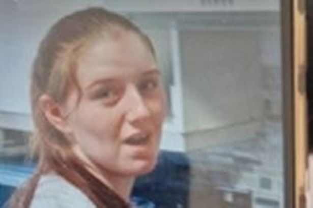 Police urge public to call 999 if they see missing girl who vanished in early hours