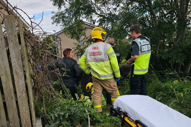 Firefighters rush to rescue person after falling 10ft down ‘steep embankment’