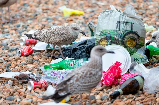 Lancashire volunteer group dedicated to cleaning up beaches gets vital donation