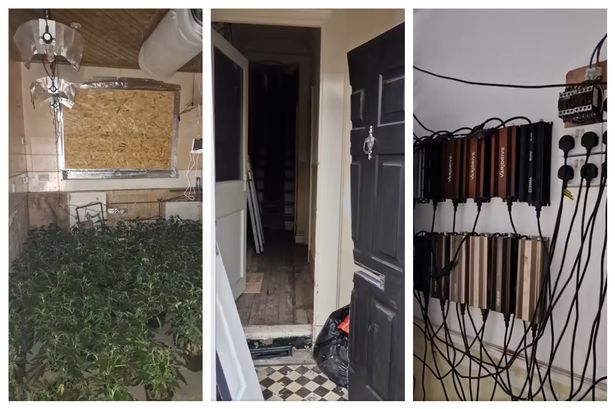Inside the huge cannabis farm found in Blackburn house worth thousands of pounds seized by cops