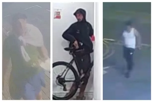 Police CCTV appeal after men armed with weapons invade home