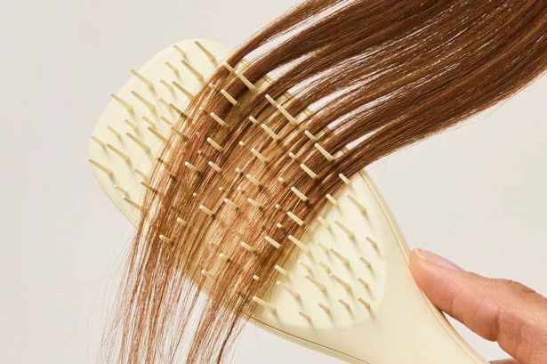 Shoppers rave about £14 brush that’s ‘so gentle’ on hair and reduces breakage by 77%