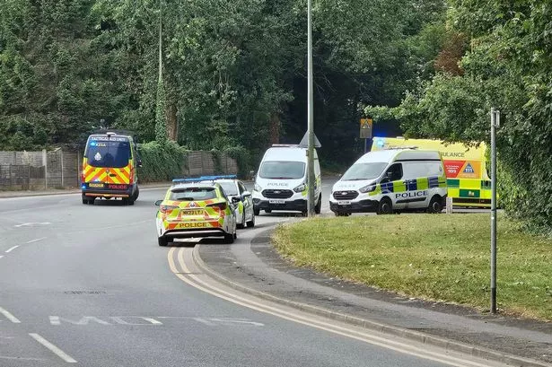 Two men ‘bitten’ by dogs at business park as emergency services called