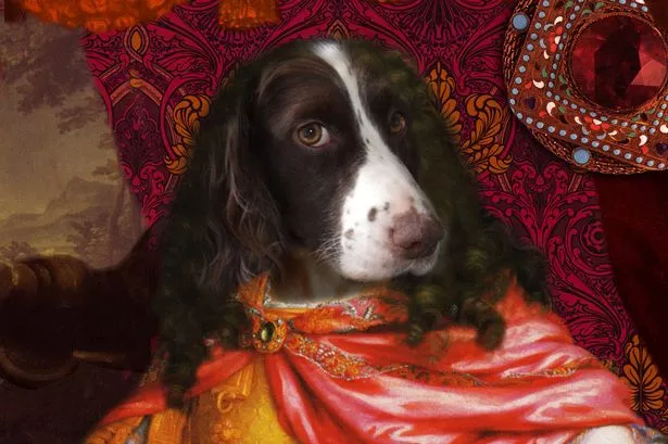 Amazing new Blackpool Illuminations displays created by Laurence Llewelyn-Bowen unveiled