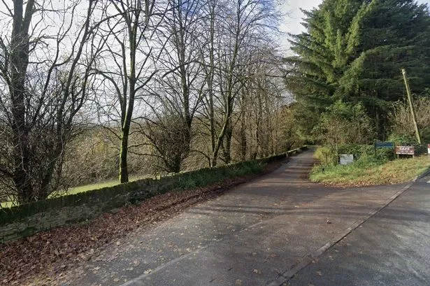 Police appeal after robber flagged down car and ‘tried to get in’