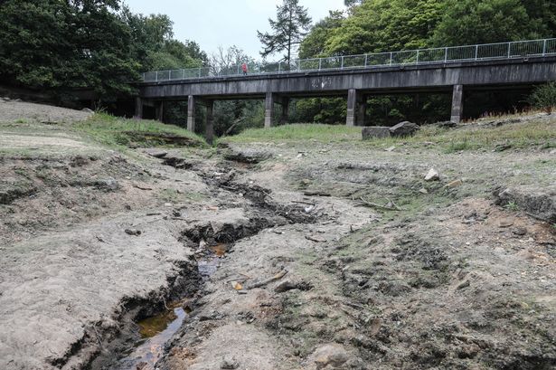 Grass growing in Lancashire reservoirs and canals as dry weather takes its toll