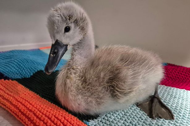 Vital Lancs charity warns of closure and says ‘we can’t pay our bills’