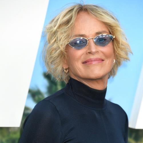 Sharon Stone confirms she once went on date with Nelly