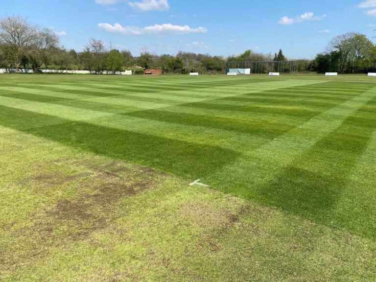 Still all to play for in a ‘mad’ cricket campaign, says Welch