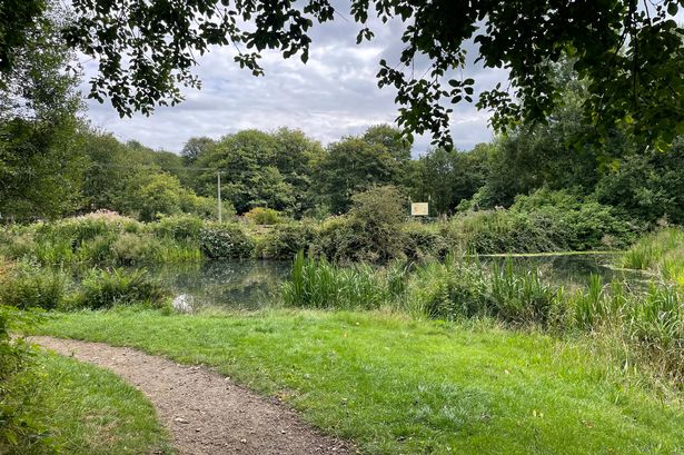 The beautiful park just over the Lancashire border with waterways, industrial ruins and an ice cream parlour