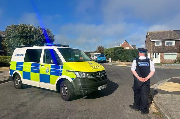 Man rushed to hospital with serious injuries after car crashes into tree