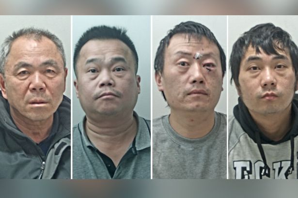 Four jailed after industrial scale £200k cannabis grow unearthed in Blackpool