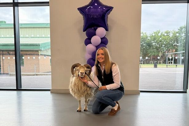 ‘Fantastic’ Preston shepherdess, 16, celebrates amazing GCSEs and brings SHEEP to school to collect results