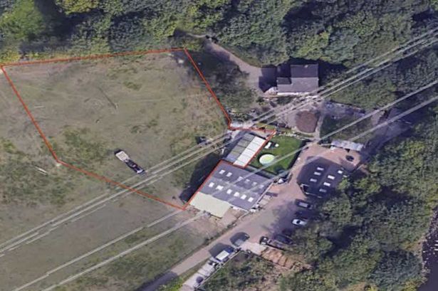 Doggy daycare stripped of its licence amid ‘neglect’ concerns