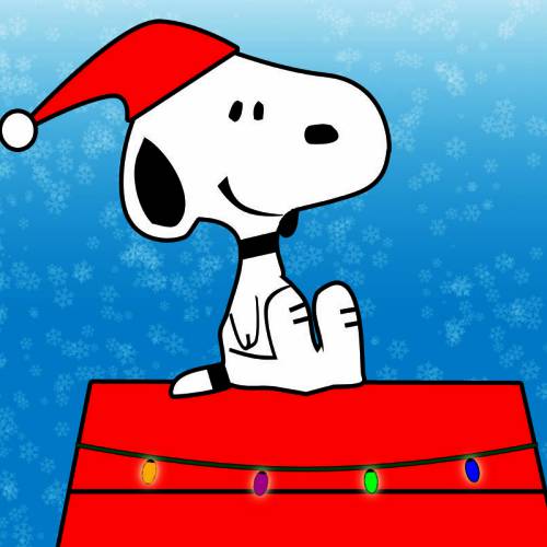 Christmas countdown begins today with Magic Christmas