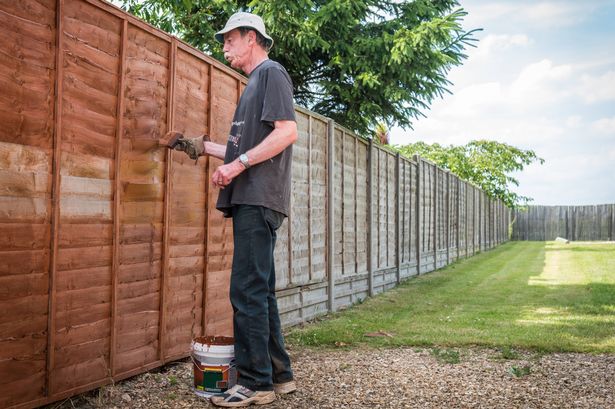 Everyone with a garden fence told ‘act now’