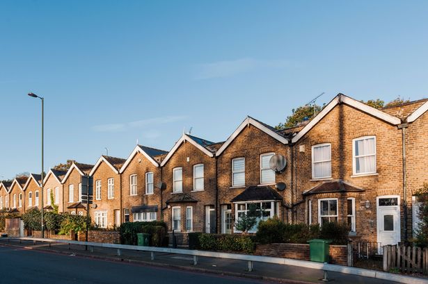 ‘My neighbour is a monster and what he did to my dog made me fight back’