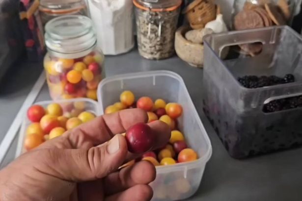 ‘My £7 Aldi food shop lasted a whole week — and kept me full’