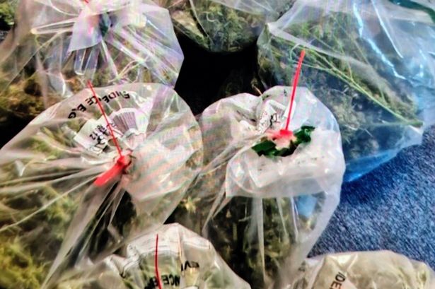 Police stop ‘weaving’ driver and seize 23 bags of cannabis in Preston