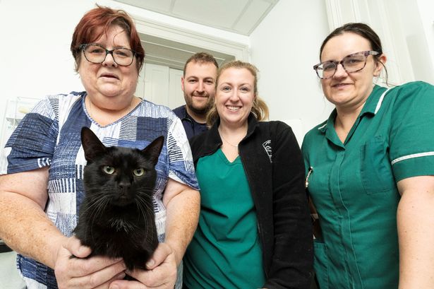 Lancashire’s ‘luckiest cat’ survives horror road crash thanks to heroic vets