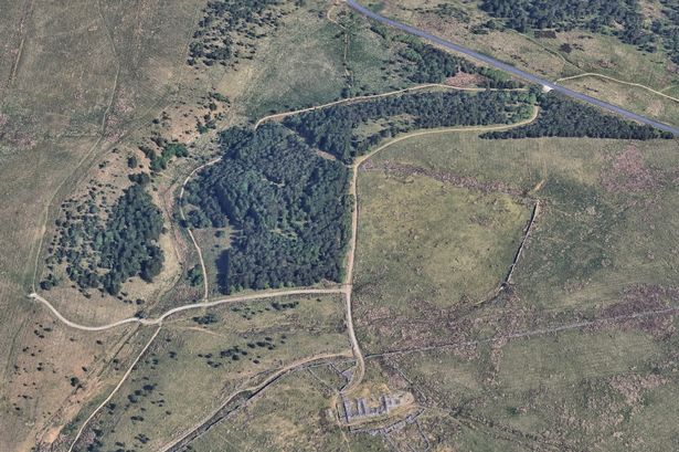 ‘Illegal rave’ shut down by police at woodland as special powers brought in