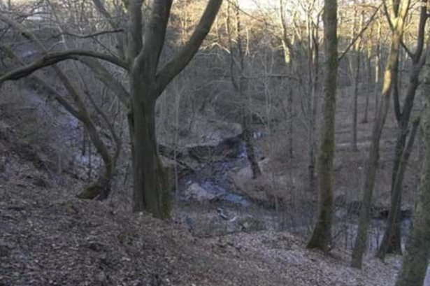 Late night rescue after casualty falls down embankment at popular Accrington woodland