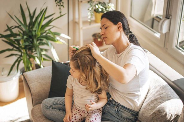 Ward off back-to-school headlice with simple £7 purchase recommended by GPs