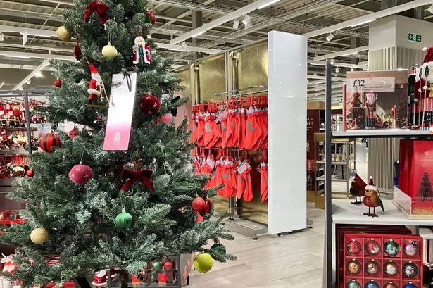 M&S shoppers hurry to buy a full-sized 6ft Christmas tree for £4 with money-saving deal