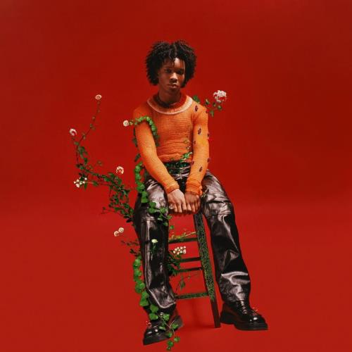 Decomposed body found in D4vd’s impounded car