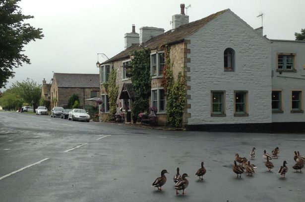‘Cosy’ Lancashire pub with stunning views, best beer garden and dogs are welcome