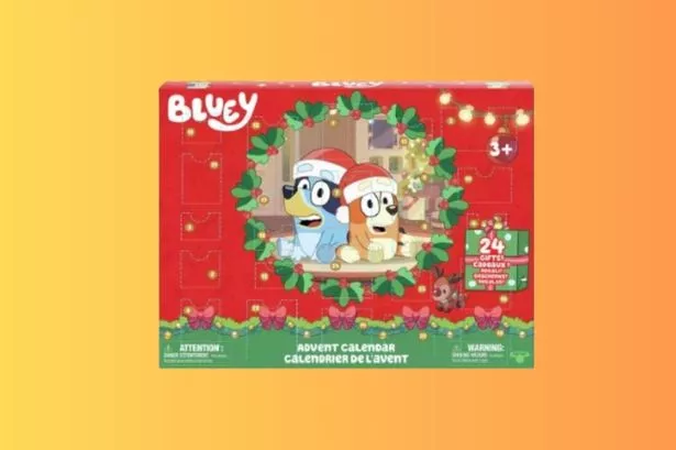 How Argos shoppers can get a £25 Bluey advent calendar for less than £5