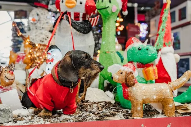 Preston store opens for ‘late night Christmas shopping’ this October