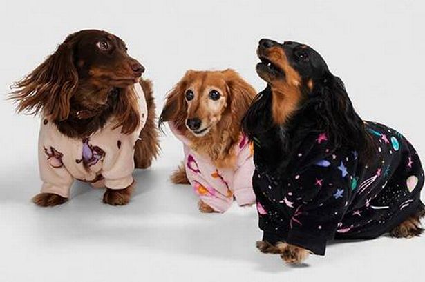 The new £29 dog Oodie keeps your pup warm and cosy during the cold winter months