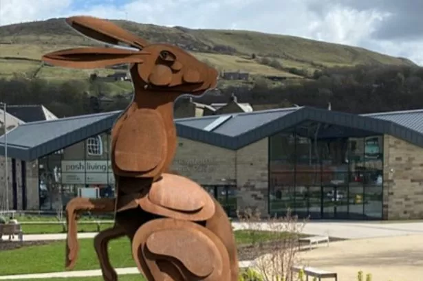 ‘A hare is not a symbol associated with Rossendale’: Sculpture plans face opposition