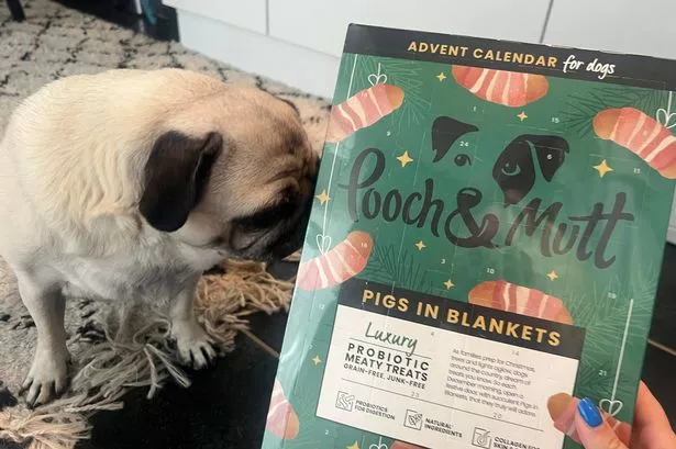 This £10 dog advent calendar is my pup’s favourite and sells out every year – get it before it’s gone